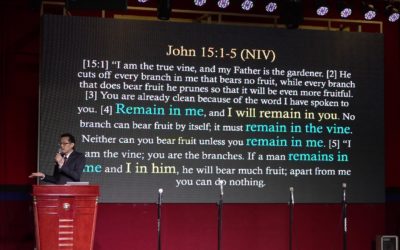 And I Will Remain In You