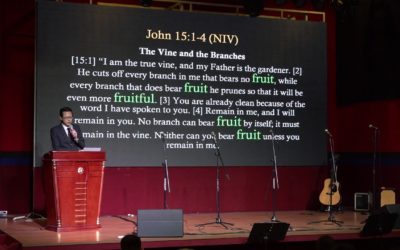 Bear Much Fruit