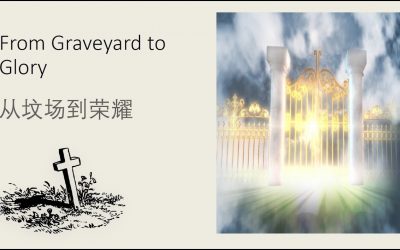 From Graveyard To Glory