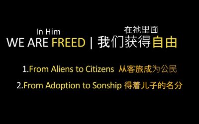 We Are Freed