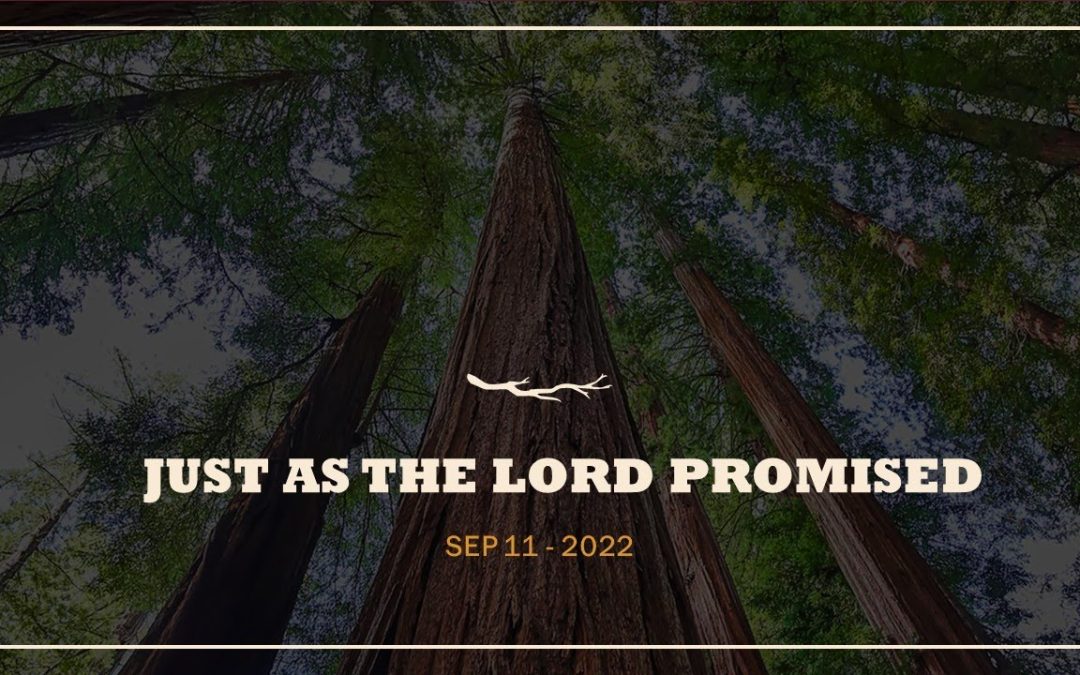 Just As The Lord Promised