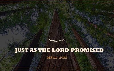 Just As The Lord Promised