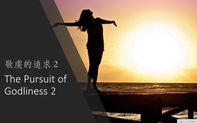 The Pursuit of Godliness 2