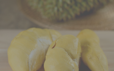 Durian Season