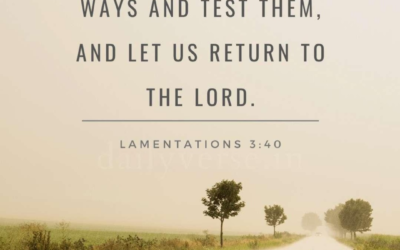 Lamentations 3:40